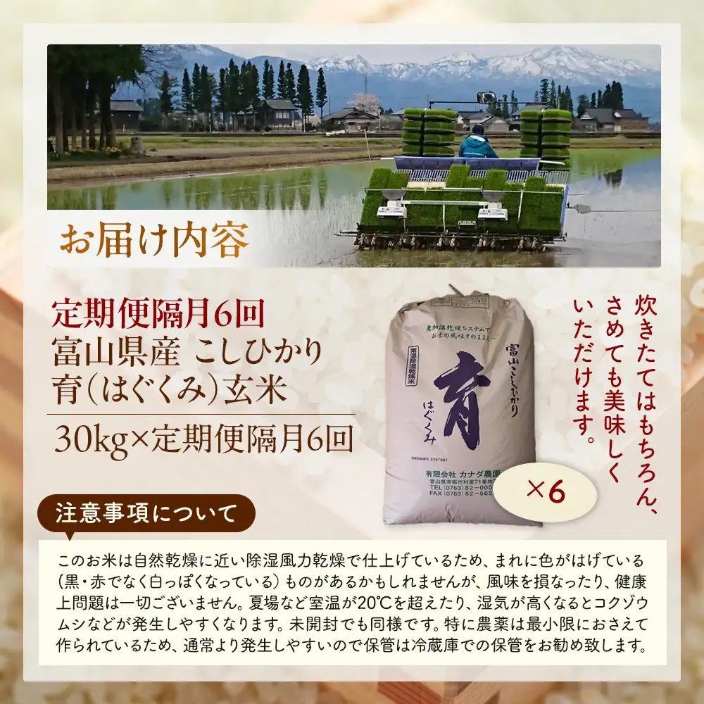 【令和7年産】定期便・隔月６回  富山県産こしひかり 育（はぐくみ）玄米３０kg《南砺の逸品》
