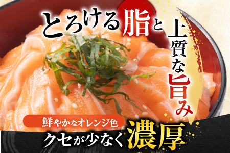 生食可アトランティックサーモン3～5P(計900g前後) A-81023