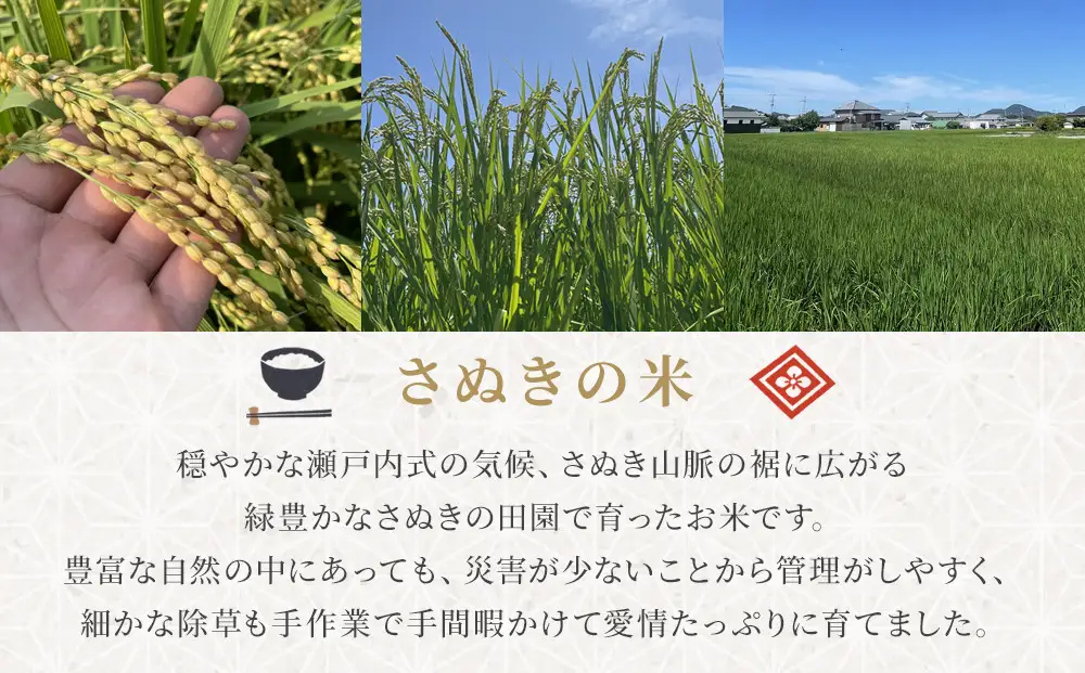 令和8年度産 新米 こしひかり 3kg こめ お米 白米 ご飯 備蓄 国産 さぬきの米 たべてんまい