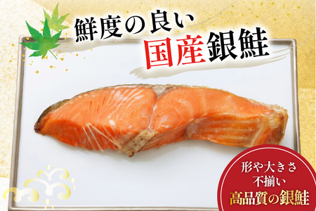 訳あり 国産 減塩 厚切り 塩銀鮭 切身 計 1kg 