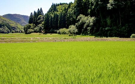 【令和7年産】難関突破米 白米 2kg×3 精米 熊本県 南関町産 単一原料米 ヒノヒカリ 産地直送 コメ お米 祈願米