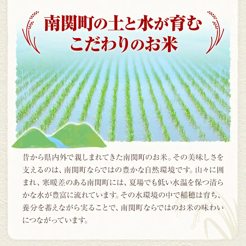 令和7年産 南関産 ヒヨクモチ もち米 6kg 有限会社花見商店