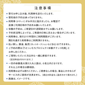 【ふるさと納税】☆沖縄芸能三板（サンバ）体験☆～沖縄貸衣装体験付き～　| 沖縄 旅行 クーポン 体験 トラベル 人気 おすすめ リゾート チケット 北谷 ちゃたん おすすめ 送料無料