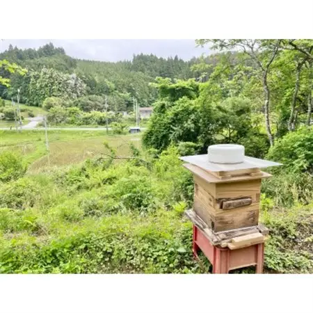 南三陸の百花蜜　～日本ミツバチ100%の希少なはちみつ～【1642792】