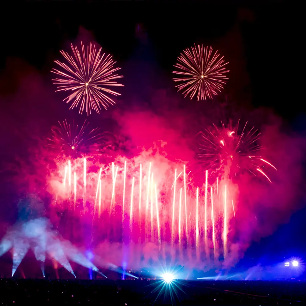 万博夜空がアートになる日　2026　鑑賞チケット　パノラマシート2枚 ／ イベント 花火 花火大会 芸術イベント 観覧シート 万博記念公園 大阪吹田市 一夜限り 国内トップクラス 家族 ファミリー 恋人 カップル 思い出 記念日 大阪府 No.176