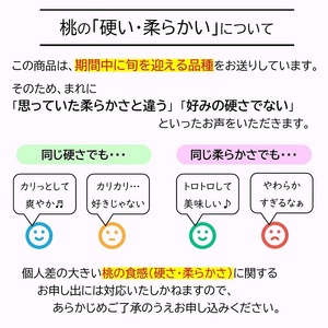 【令和8年産先行予約】 《定期便3回》 秋冬フルーツの美味しさトップ3定期便 『フードシステムズ』 桃 シャインマスカット りんご 果物 フルーツ 山形県 南陽市 [2263-R8]