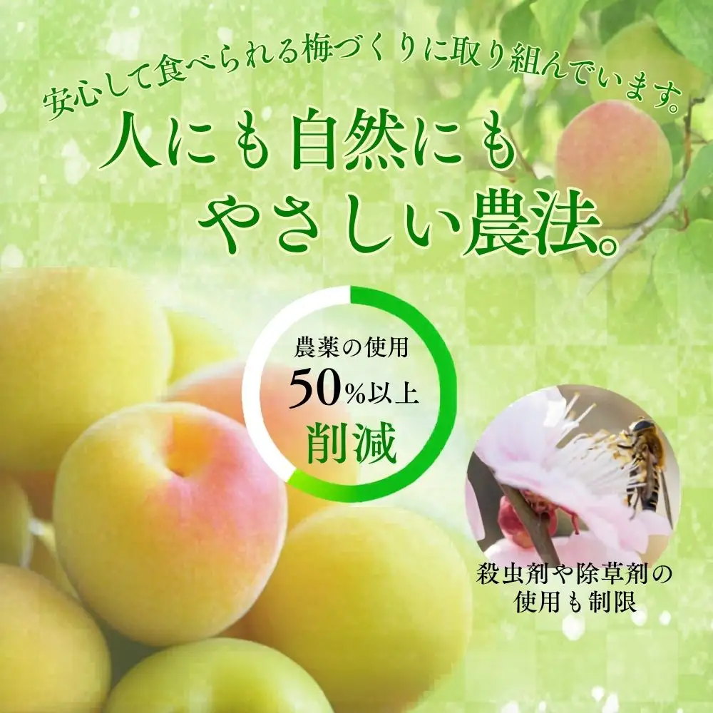 梅干し 紀州梅香の減塩3%つぶれ梅 500g x 2 訳あり 無添加梅干し【baiko005】