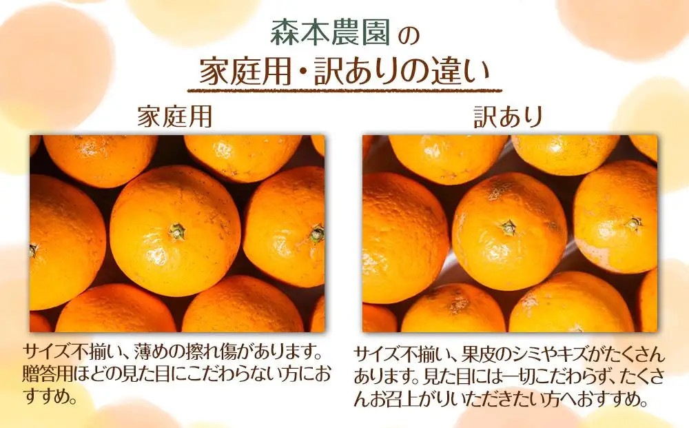 家庭用 森本農園の手選別 八朔 約10kg 和歌山県産 サイズ混合 ［北海道・沖縄・離島配送不可］［2027年1月中旬から発送予定］［RN117］