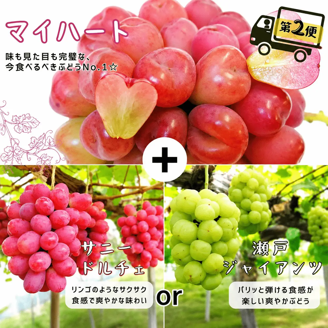 【2回定期便】 シャインマスカット 岡山県産ブドウ シャインマスカット＆マイハート入り定期便2.4kg(４～６房)  【hfbd-tkb005-02】