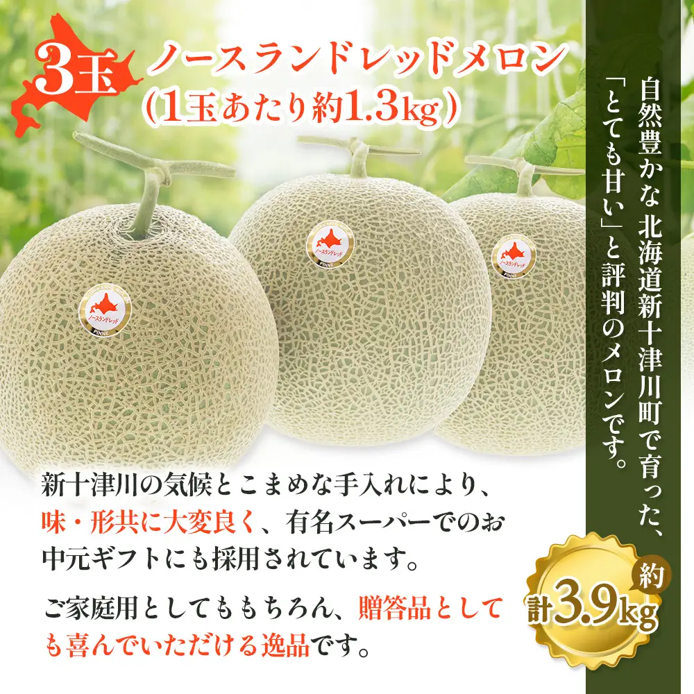 【先行予約】【数量限定】 赤肉メロン3玉【令和８年７月～８月上旬発送】【1203201】