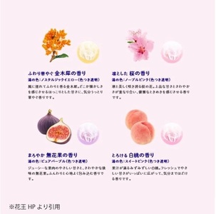 SA2998　花王バブ 至福の花果実めぐり浴　12錠入×6箱