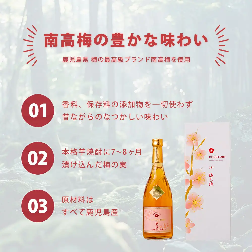 うまかぞー九州 本格梅酒 梅乙姫 720ml 梅酒 KN163-002 酒