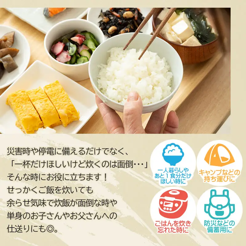 【訳あり】山形県産 はえぬきパックライス 180g × 48食セット　| はえぬき 米 お米 コメ ライス ごはん ご飯 パックご飯 白飯 白米 食品 お手軽 レンジ 湯煎 一人暮らし 時短 常温保存 防災 ローリングストック 山形県 鶴岡市 返礼品
