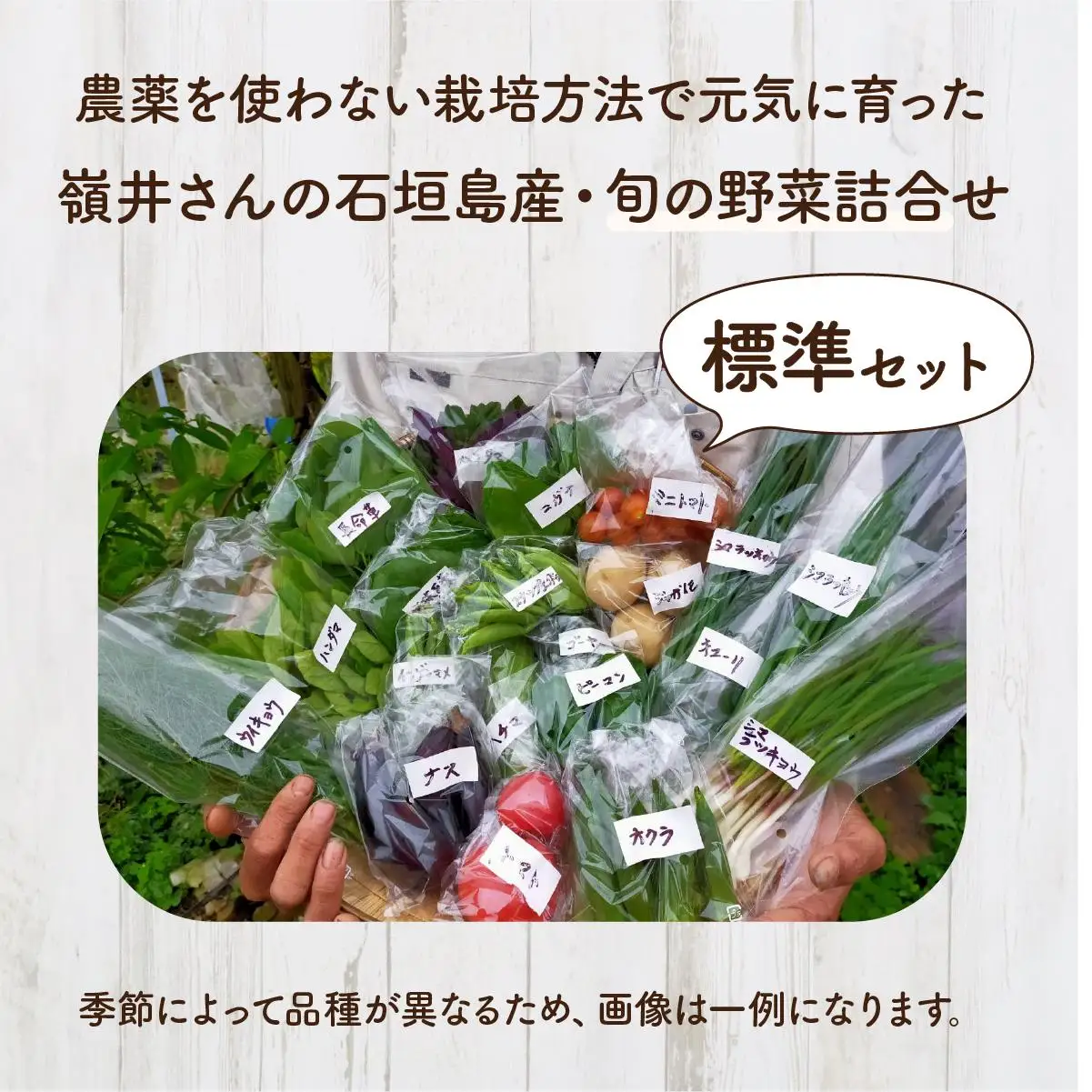 嶺井さんの石垣島旬の野菜詰合せ（標準セット）OI-22