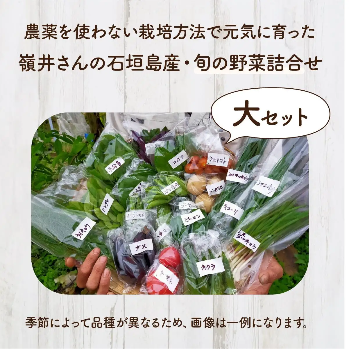 嶺井さんの石垣島旬の野菜詰合せ（大セット）OI-23