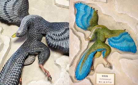 恐竜 始祖鳥 額装 復元 模型 完成品 荒木一成 本人製作 限定20体 証明書付 荒木恐竜工房 手彩色 1/2スケール 復元 模型 ダイナソー リアル インテリア 立体造形 京都府 京田辺市 職人 手作り 匠の技 一点物 ギフト プレゼント 贈り物 コレクション 標本 2 翼：グレー系 ボックス額：茶色