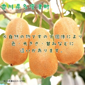 香川県オリジナルキウイフルーツ「香緑」約3.5kg【予約受付中！令和8年11月下旬頃から発送】【B-31】