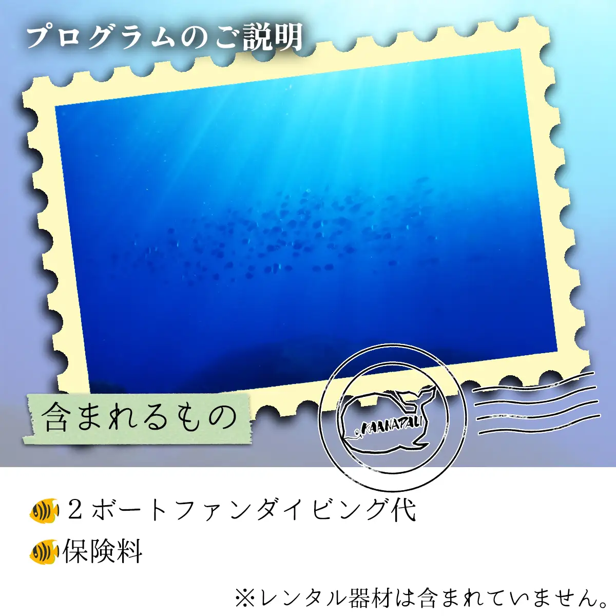 徳島最南端の海でファンダイビング！