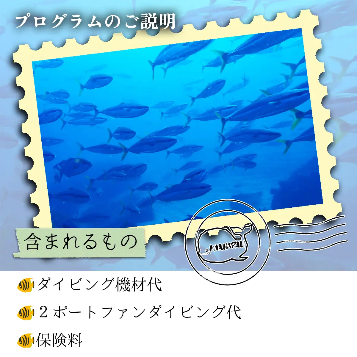 水着1つでお越しください！徳島最南端の海でファンダイビング！