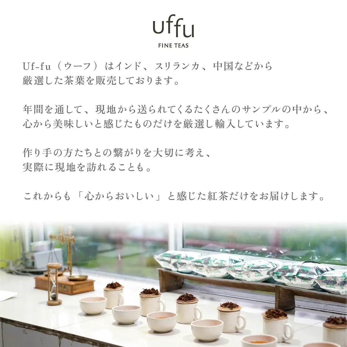 紅茶 ティーバッグ 16種セット【Uf-fu ウーフ】