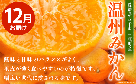 【先行予約】＜訳あり 旬の柑橘定期便 2回（温州みかん 約5kg・せとか 約5kg）＞ 数量限定 産地直送 自宅用 家庭用 みかん ミカン 蜜柑 柑橘 フルーツ 果物 果実 特産品 旬 玉やま農園 愛媛県 西予市【常温】『1回目：2026年12月／2回目：2027年3月に順次出荷予定』 MTN0008