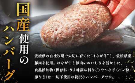 ＜合挽ハンバーグセット 10個（1個150g）＞ セット ハンバーグ はんばーぐ 合挽肉 肉 お肉 牛肉 豚肉 肉加工品 お惣菜 洋食 おかず 弁当 国産 小分け 個包装 簡単調理 特産品 ゆうぼく 愛媛県 西予市 【冷凍】『1か月以内に順次出荷予定』 UYB0015