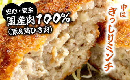 フジバーグ（揚げる前の冷凍）20個セット [051-a013] 