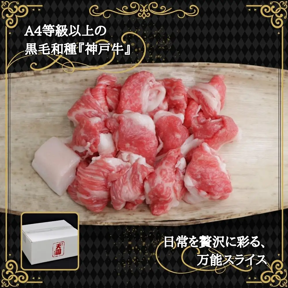 【ふるさと納税】【肉の天園】神戸牛 切り落とし 700g SI06