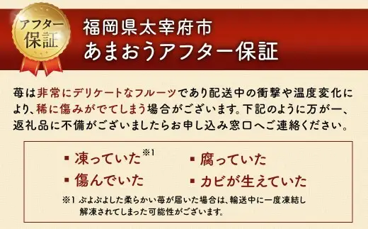 うるう農園のあまおう 4パック ＋ 1パック 合計5パック（約1425g） 訳あり あまおう （小粒・いびつ・大型） 【2027年3月上旬～4月上旬発送予定】 苺 いちご イチゴ 果物 フルーツ デザート 冷蔵
