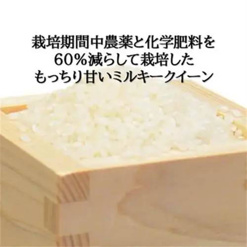 【毎月定期便】ミルキークイーン(海藻のちから)(精米)5kg全5回【4075146】