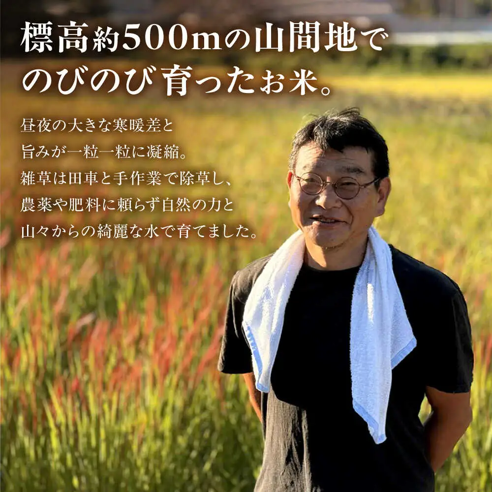 令和7年産 米 5kg 黒川つばくろ農園[AWCB001]米