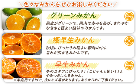 みかん 定期便 4回 家庭用 10kg(Lサイズ) みかん Wbe-0124