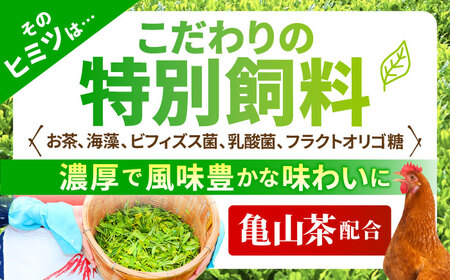 【全6回定期便】お茶と海藻で健康育ち 元気卵 360個（60個×6回） / たまご タマゴ 玉子 鶏卵 / 亀山市 / 藪本養鶏園[AMBH010]