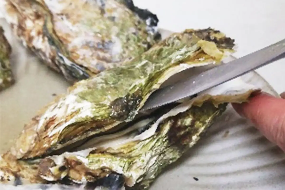 オレのガンガン焼き 広島県大竹市産 冷凍殻付牡蠣 2.5kg (約15個から20個) [2620]