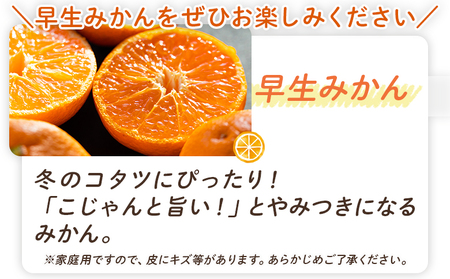 【11月〜12月】みかん定期便 5kg×3回 高知県香南市 みかん 定期便 Wbe-0127