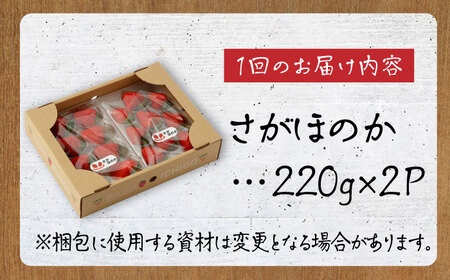 【先行予約 2027年1月～発送】【4回定期便】さがほのか 220g×2パック×4回 いちご