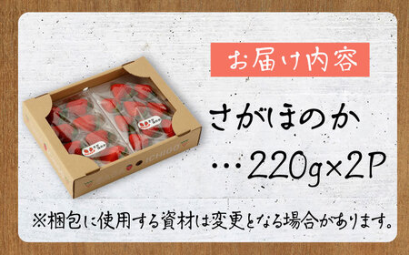 【先行予約 2027年1月～発送】さがほのか 220g×2パック いちご