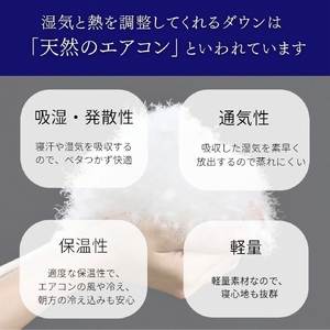 羽毛布団 アイボリー 羽毛肌ふとん シングル ハンガリーホワイトグースダウン93％ 布団 Eプラス