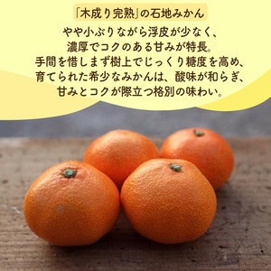【2026年12月上旬頃から順次発送】 紅まどんな・石地みかん食べ比べセット 【紅まどんな 約3kg】【石地みかん(家庭用・優品) 約5kg】 | 柑橘食べ比べ みかん オレンジ 紅マドンナ 愛果 ミカン mikan 柑橘 かんきつ あいか フルーツ たべくらべ 新鮮 柑橘 ふるーつ 果物 くだもの 期間限定 愛媛県 松山市 ココオ Koko'o【KK334】