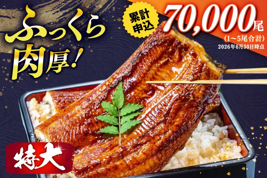 【定期便6回】 うなぎ 蒲焼 国産 特大 2尾 うなぎ