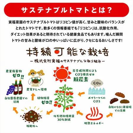 むつ市産　寅福菜園の「サステナブルトマト」訳あり2kg