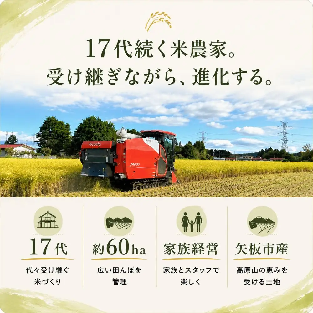 【令和８年産 新米】矢板市特別栽培米 お米 訳あり こしひかり 白米 5kg |栃木県 矢板市