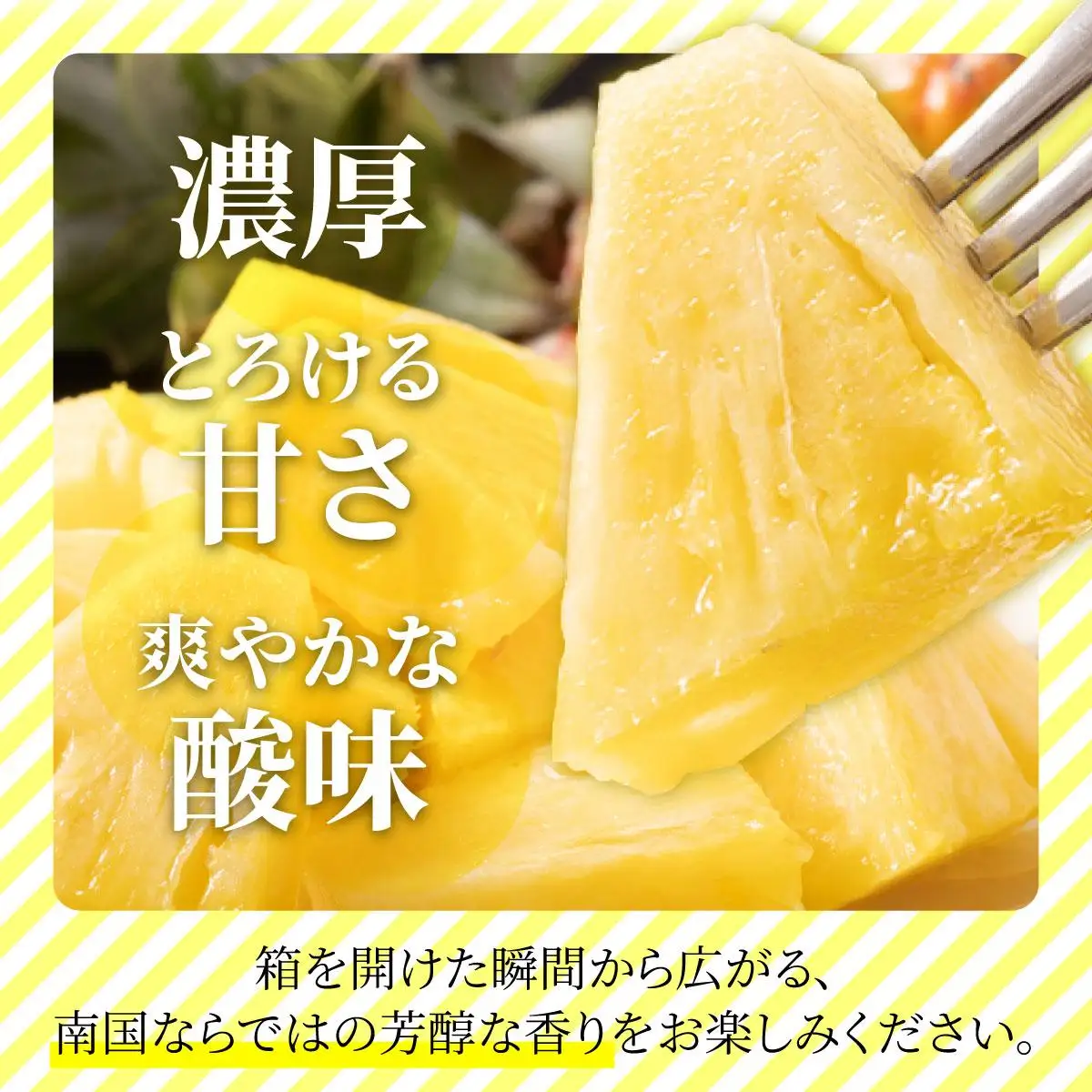【先行予約】【訳あり】 石垣さんちのおすすめパイン詰め合わせ 8～10玉  (約5kg)《2027年5月上旬頃から順次発送》 TP-21