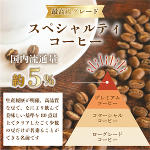 スペシャルティコーヒー 飲み比べ おまかせ3種 計300g コーヒー 