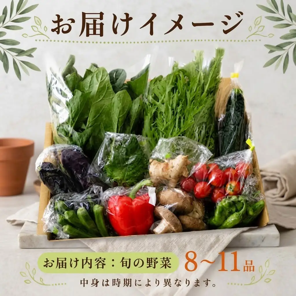 【24回定期便 野菜】 こだわりの新鮮野菜セット(8~11品目)