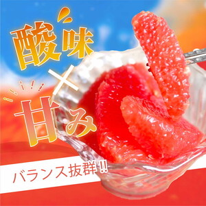 国産グレープフルーツ 家庭用7kg（15～20玉） ※2027年5月上旬～8月上旬頃に順次発送予定