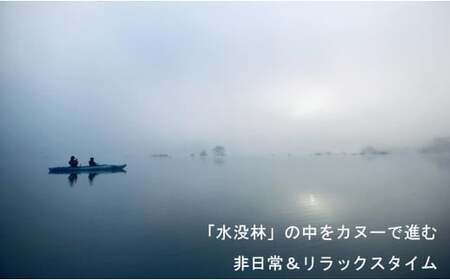 水没林カヌー［早朝プレミアム］（2名様分）- 体験 チケット 自然 カヤック 絶景 白川湖 フォトジェニック 癒し 湖 非日常 山形県 飯豊町【価格改定】