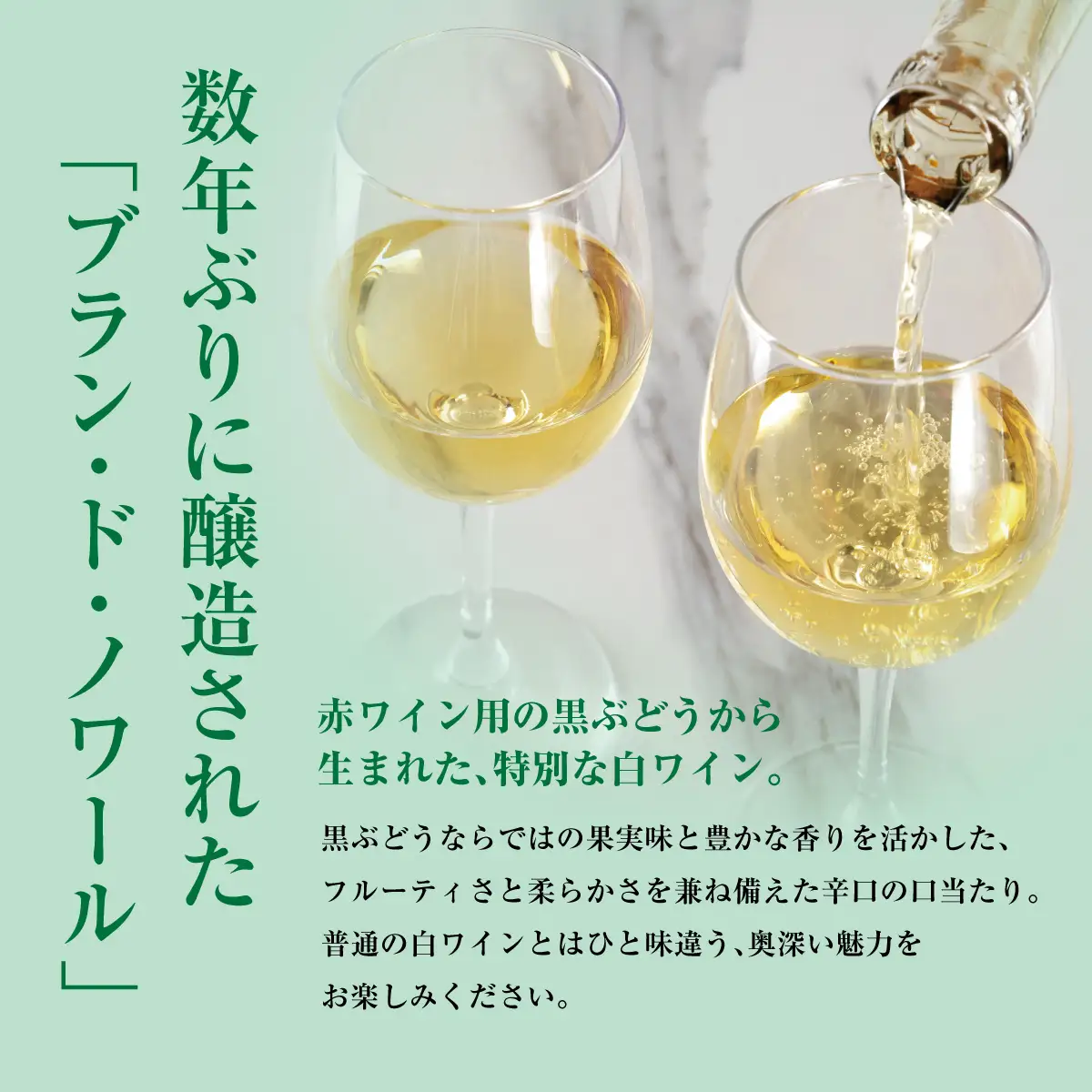奥尻ワインメルロー（白）750ml 