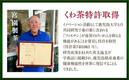 宮園製茶の有機粉末桑茶 お試しセット 2袋（1袋あたり20g） 粉末 お茶 桑茶 ZS-549