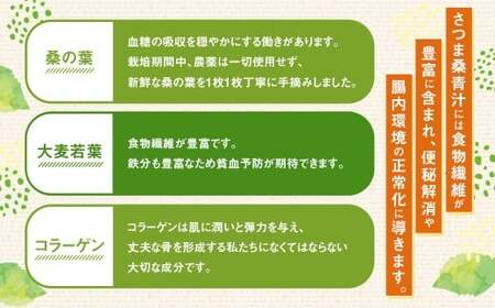 【贈答用】 さつま桑青汁 20本 （10本×2箱） 飲みやすい 青汁 大麦若葉 粉末_ss1640_CR